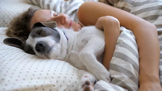 Dame liegt mit ihrem Hund im Bett