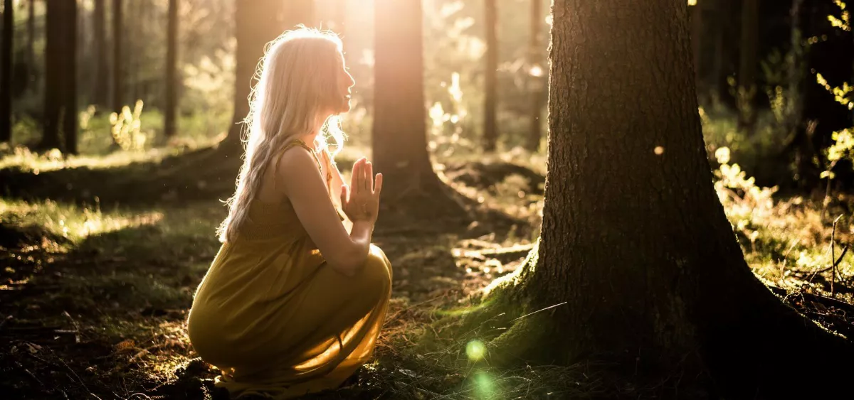 Dame meditiert im Wald vor einer Eiche